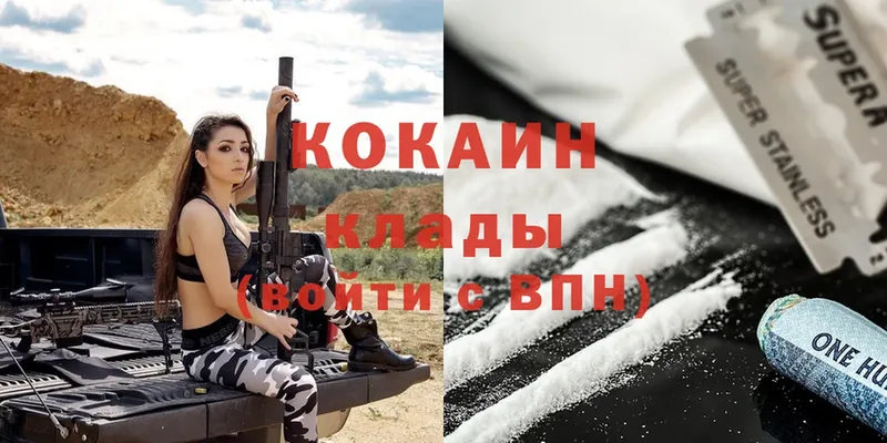 Кокаин FishScale  Сорск 