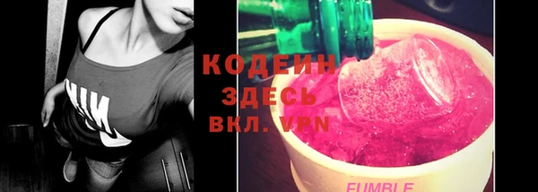 мдпв Пересвет