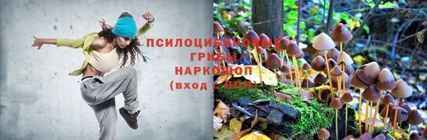 мдпв Пересвет