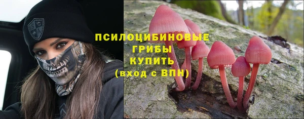 гашиш Переславль-Залесский